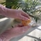Disposable Nitrile Gloves Waterproof Anti Static Durable For Kitchen Cooking Cleaning 0