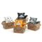 4pcs Mini Cat Ornament Cute Kawaii Garden Kitten Statue Gift For Kids Baby Room Home Decor 6