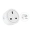 Tuya Smart WiFi Plug JPUSUK Standard Wireless Outlet Works With Alexa Google Home Remote Control 0
