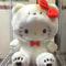 Dog Plush Toy Pacha Dog Doll Soft Stuffed Animal Kulomi Doll Machine Prize Wholesale Gift For Kids 1