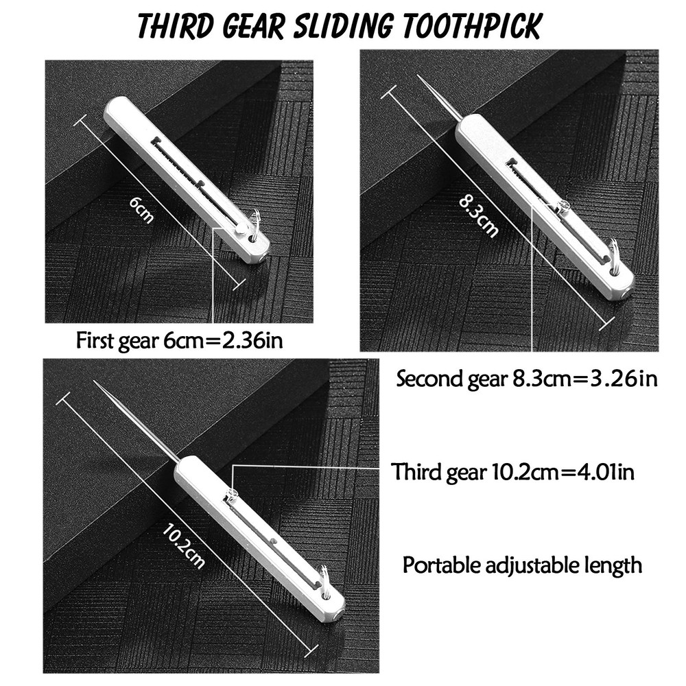 HighQuality Portable Titanium Toothpicks With Case Pocket Toothpick Holder For Camping Picnic And O 1