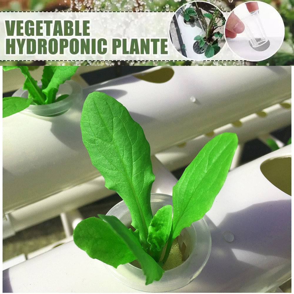 Hydroponics Growing System Kit, 3-Layer PVC-Pipe Cultivation for Vegetables & Herbs with 108 Sites