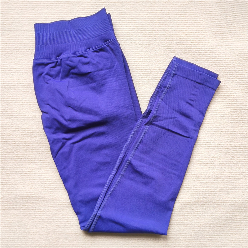 High Elastic Seamless Sporty Yoga Leggings, Butt Lifting, Tummy Control, Squat Proof Fitness Workout Tights