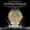 POEDAGAR Luxury Man Wristwatch, Hollow Tourbillon Stainless Steel Watch, Automatic Mechanical Luminous Men Reloj