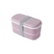 Portable Outdoor Leak Proof Lunch Box, Simple Style Layered Japanese Bento Box, Kitchen Accessories Tableware