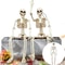Halloween Shape Skeleton Human Shape Bones Posable Skeleton Haunted House Horror Props Halloween Ho