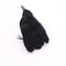 Simulated Black Feather Crow, Halloween Decorations, Haunted House Ornament, Party Supplies, Spooky Home Decor Prop
