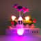 Energy Saving LED Night Light With Auto Sensor Rose Flower Mushroom Plug In Lamp For Bedroom Bathro 1