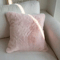Cute Pumpkin Wind Tulip Pillow Living Room Sofa Cushion Bedhead Waist Pillow Pink Atmosphere Decoration