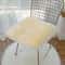 Cushion Plush Seat Pad Breathable Non Slip Mat For Bedroom Stool Sofa Decor Bay Window 1