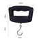 Hanging Digital Scale with LCD Display Fish Weight Luggage Hook Travel Kitchen Weighing Scale