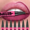 Liquid Matte Lipliner Pencil Waterproof Plumping Lip Stain Natural Lip Liner Outline Contour Makeup 1