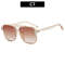 Vintage Square Sunglasses for Women Men Thick Frame Double Bridges Eyewear Female Chic Polygon Sun G