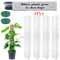 Moss Stick For Plants Growth Durable Climbing Plant Support For Indoor Outdoor Gardening 6