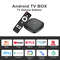 Android13 Smart Home Theater TV Box AllwinnerH313 Google Assistant Netflix Streaming Bluetooth Media Player 2G16G 2.4G5G Wifi T1