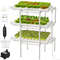 Hydroponics Garden Kit