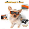 Adjustable Dog Goggles For Small Medium Breeds Outdoor UV Protection Sunglasses For Dogs And Cats P 2