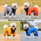 Waterproof Winter Dog Jacket for Small Medium Dogs, Warm Thicken Pet Puppy Coat for Chihuahua French Bulldog Pug Dog