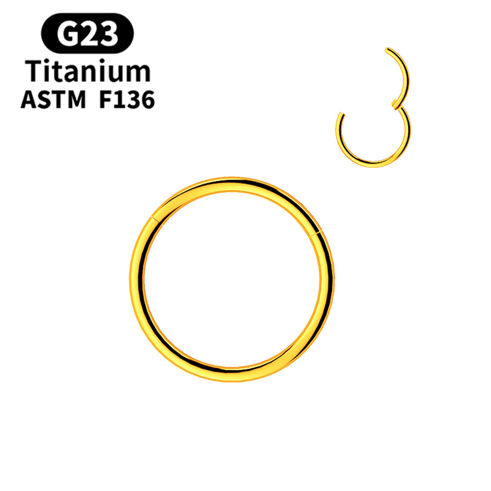 G23 Titanium Cartilage Nose Rings Hoop for Men Women, Mixed Color Segment Lip Ear Body Piercing Jewelry Clip Set