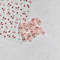 1 Piece Kawaii Red Cherry Bow Nail Stickers 5D Cute Fruit Design Adhesive Decorative Stickers for High-Quality Nail Art