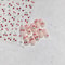 1 Piece Kawaii Red Cherry Bow Nail Stickers 5D Cute Fruit Design Adhesive Decorative Stickers for High-Quality Nail Art