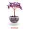 Crystal Money Tree, Glass Potted Plant with Natural Citrine, Amethyst & Chakra Quartz, Feng Shui Home Office Decor