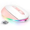 Rechargeable RGB Wireless Gaming Mouse, Quiet Click, Portable Ergonomic LED Mouse for Laptop, Office, Home Use