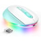 Rechargeable RGB Wireless Gaming Mouse, Quiet Click, Portable Ergonomic LED Mouse for Laptop, Office, Home Use