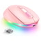 Rechargeable RGB Wireless Gaming Mouse, Quiet Click, Portable Ergonomic LED Mouse for Laptop, Office, Home Use