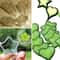 Garden Vegetable Growth Mould for Cucumbers, Star Shape and Heart Shaped Fruit Molds, Durable Kitchen Cooking Tool