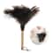 SoftSweep Ostrich Feather Duster with Wooden Handle Ostrich Feather Duster, Anti Static Duster, Dusting Brush