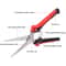 PrecisionCut Stainless Steel Pruning Shears With NonSlip Grip For Garden Fruit Tree Trimming 1