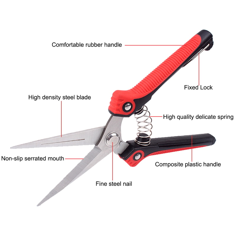 PrecisionCut Stainless Steel Pruning Shears With NonSlip Grip For Garden Fruit Tree Trimming 1