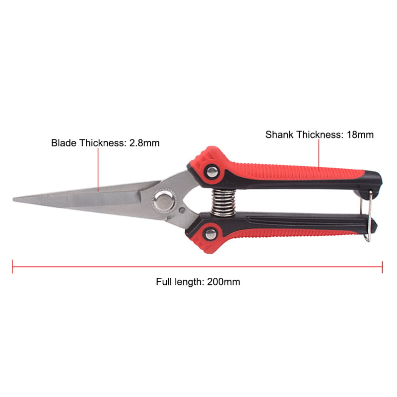 PrecisionCut Stainless Steel Pruning Shears With NonSlip Grip For Garden Fruit Tree Trimming 3
