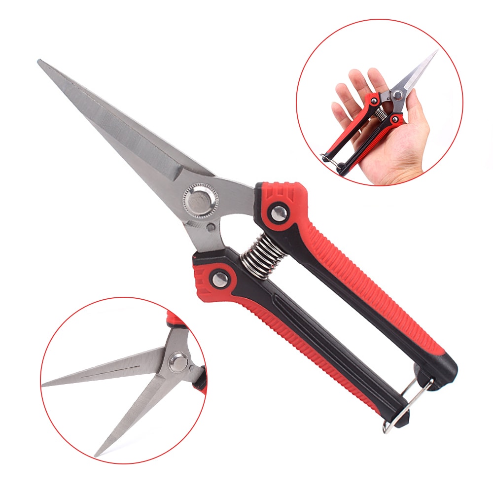PrecisionCut Stainless Steel Pruning Shears With NonSlip Grip For Garden Fruit Tree Trimming 4