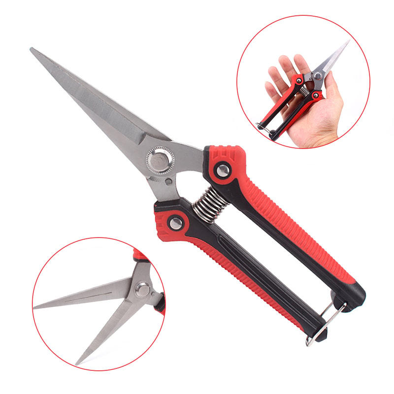 PrecisionCut Stainless Steel Pruning Shears With NonSlip Grip For Garden Fruit Tree Trimming 4