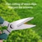 Professional Garden Premium Pruning Shears Straight Head Stainless Steel Garden Scissors with Non Slip Grip