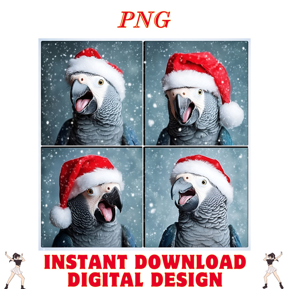 African Grey Parrot Bird Photography Parrot Mom Christmas 0