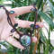 Abalone Shell Ivy Necklace 3