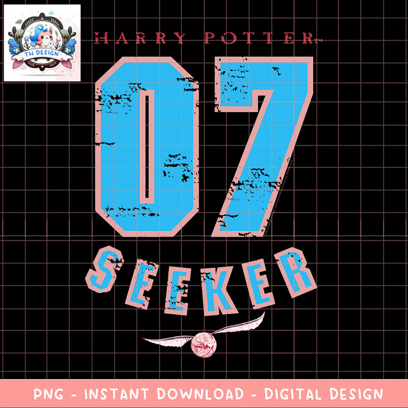 Harry Potter 07 Quidditch Seeker PNG Download copy.png