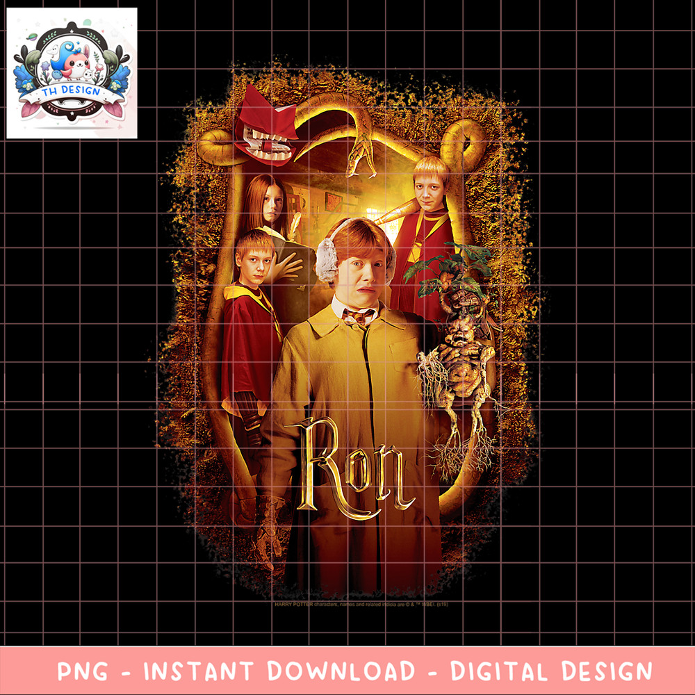 Harry Potter And The Chamber Of Secrets Ron Portrait PNG Download copy.png