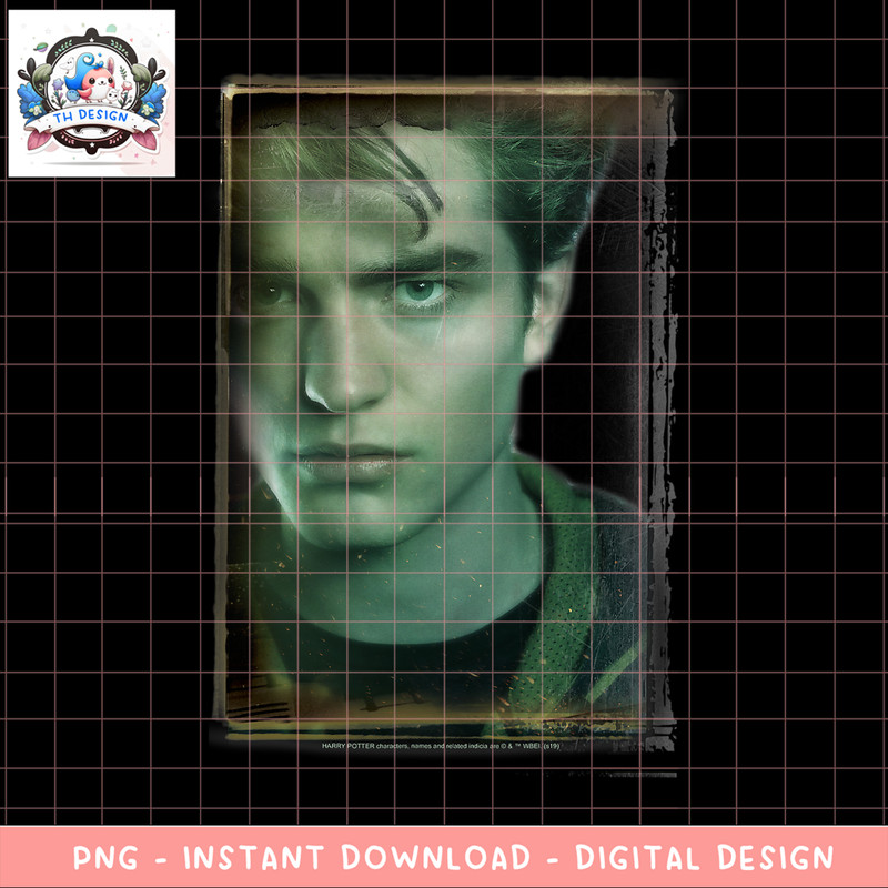 Harry Potter Cedric Diggory Portrait PNG Download copy.png