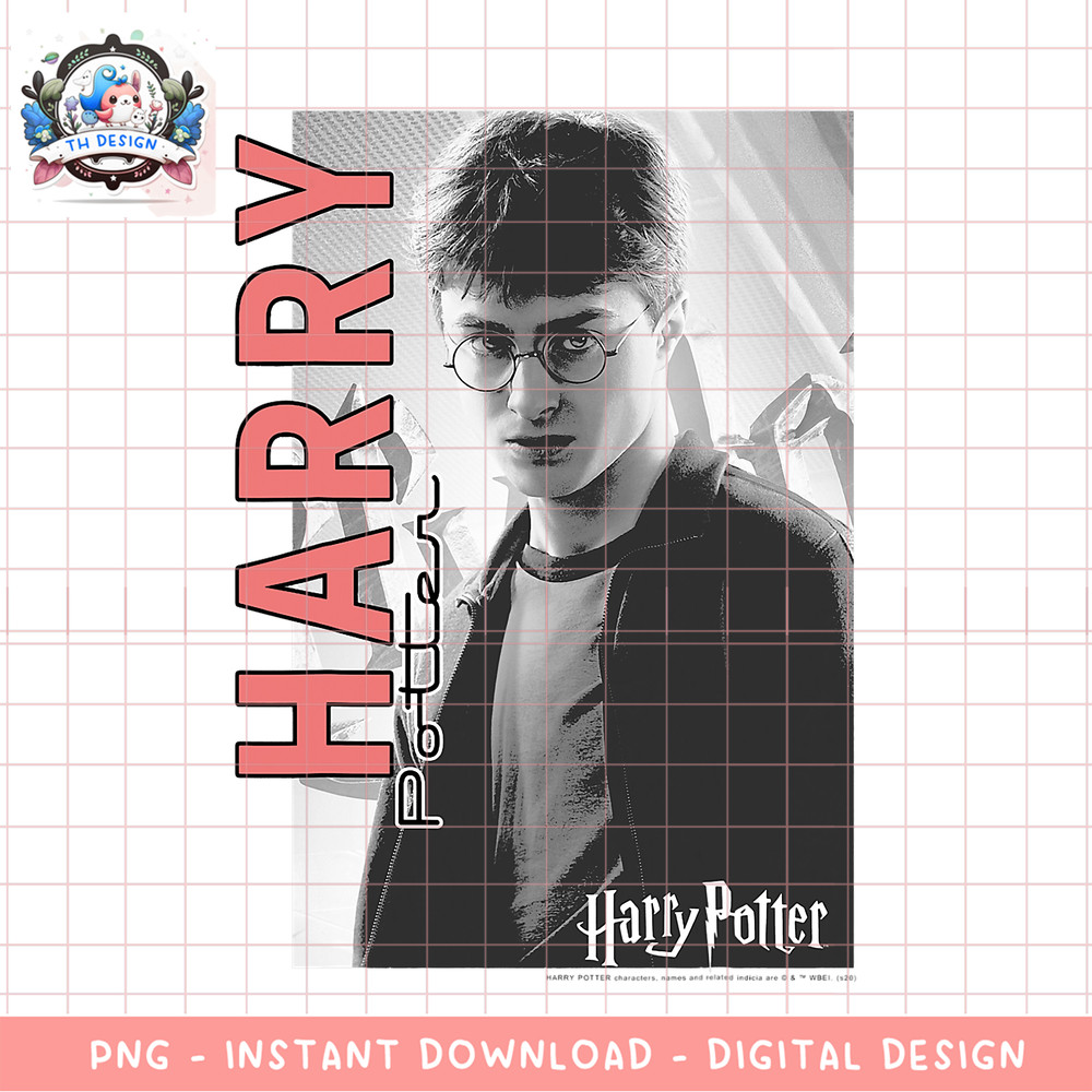 Harry Potter Character Poster PNG Download copy.png