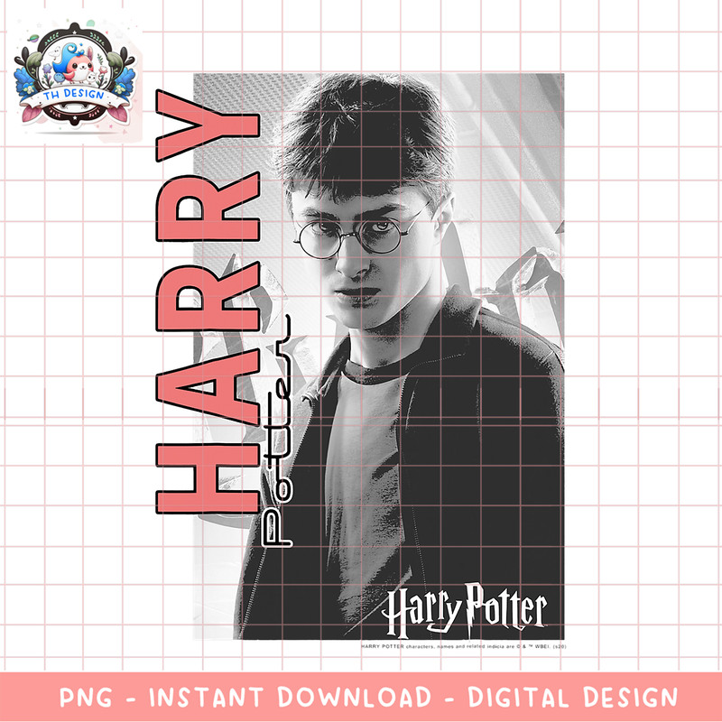 Harry Potter Character Poster PNG Download copy.png