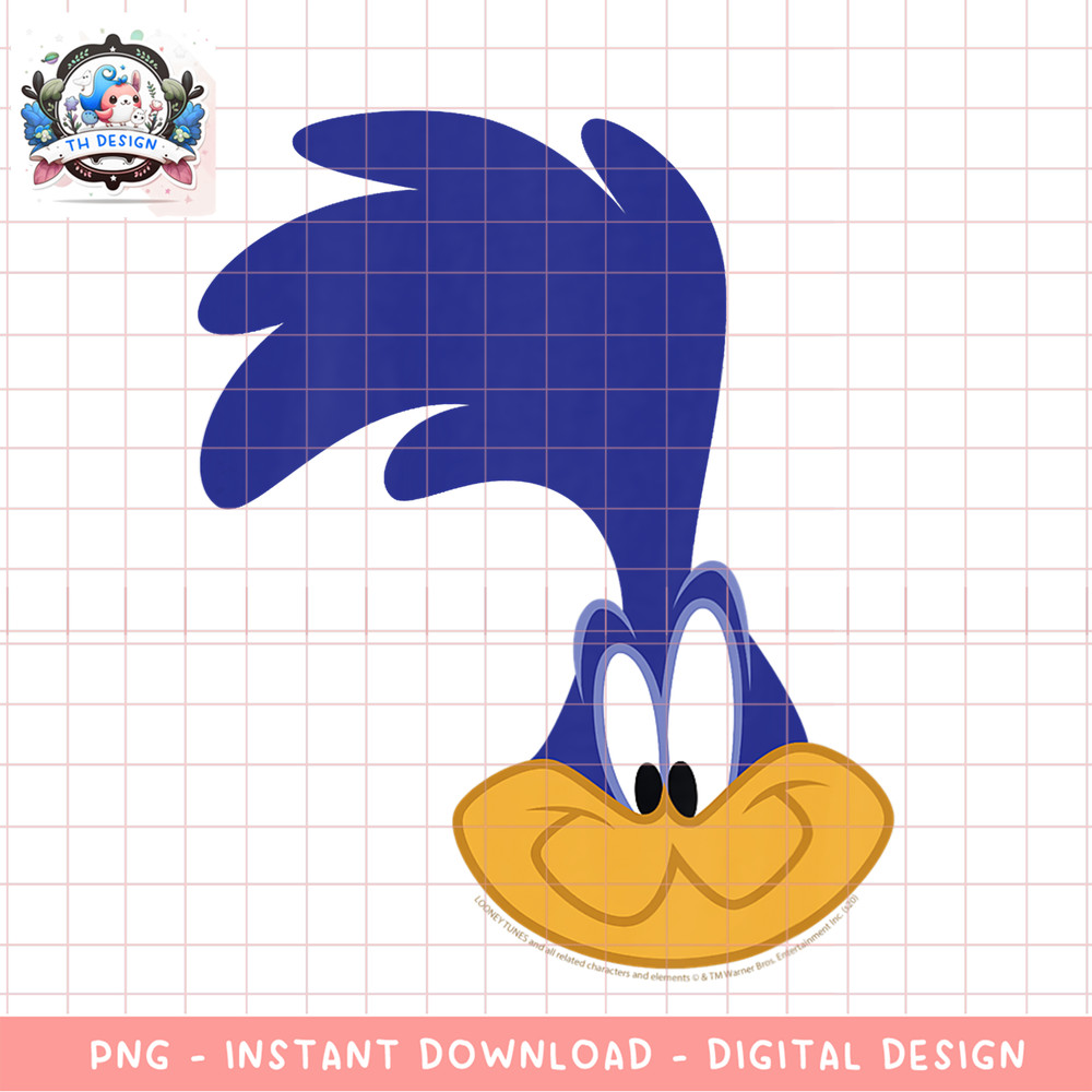 Kids Looney Tunes Road Runner Big Face png, digital download, instant .png