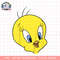 Kids Looney Tunes Tweety Bird Big Face png, digital download, instant .png