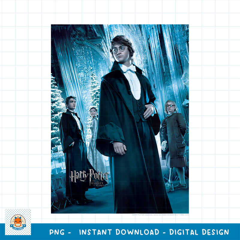 Kids Harry Potter Goblet Of Fire Yule Ball Character Poster PNG Download copy.jpg