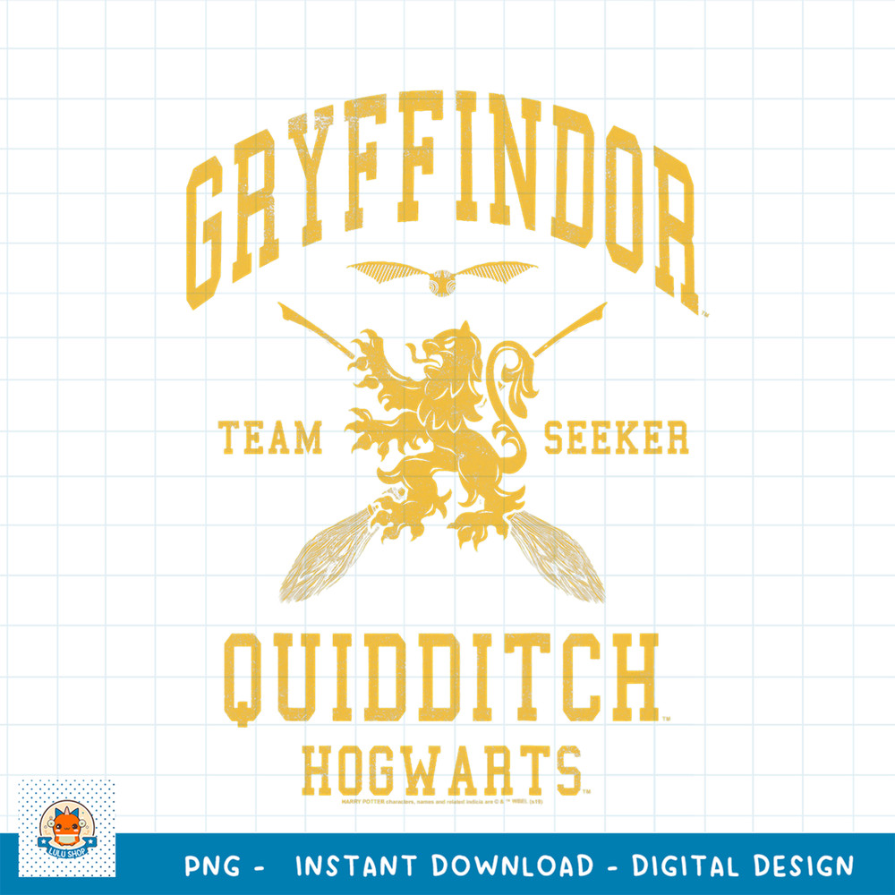 Kids Harry Potter Gryffindor Team Seeker Quidditch Youth PNG Download copy.jpg