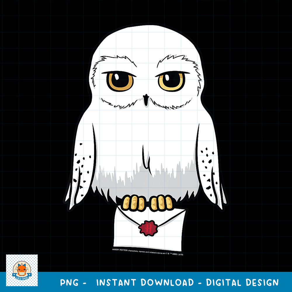 Kids Harry Potter Hedwig Mail Hogwarts Letter Youth PNG Download copy.jpg