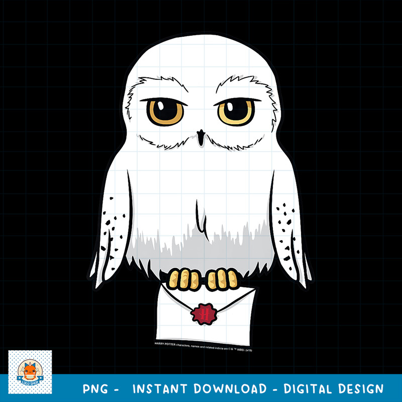 Kids Harry Potter Hedwig Mail Hogwarts Letter Youth PNG Download copy.jpg